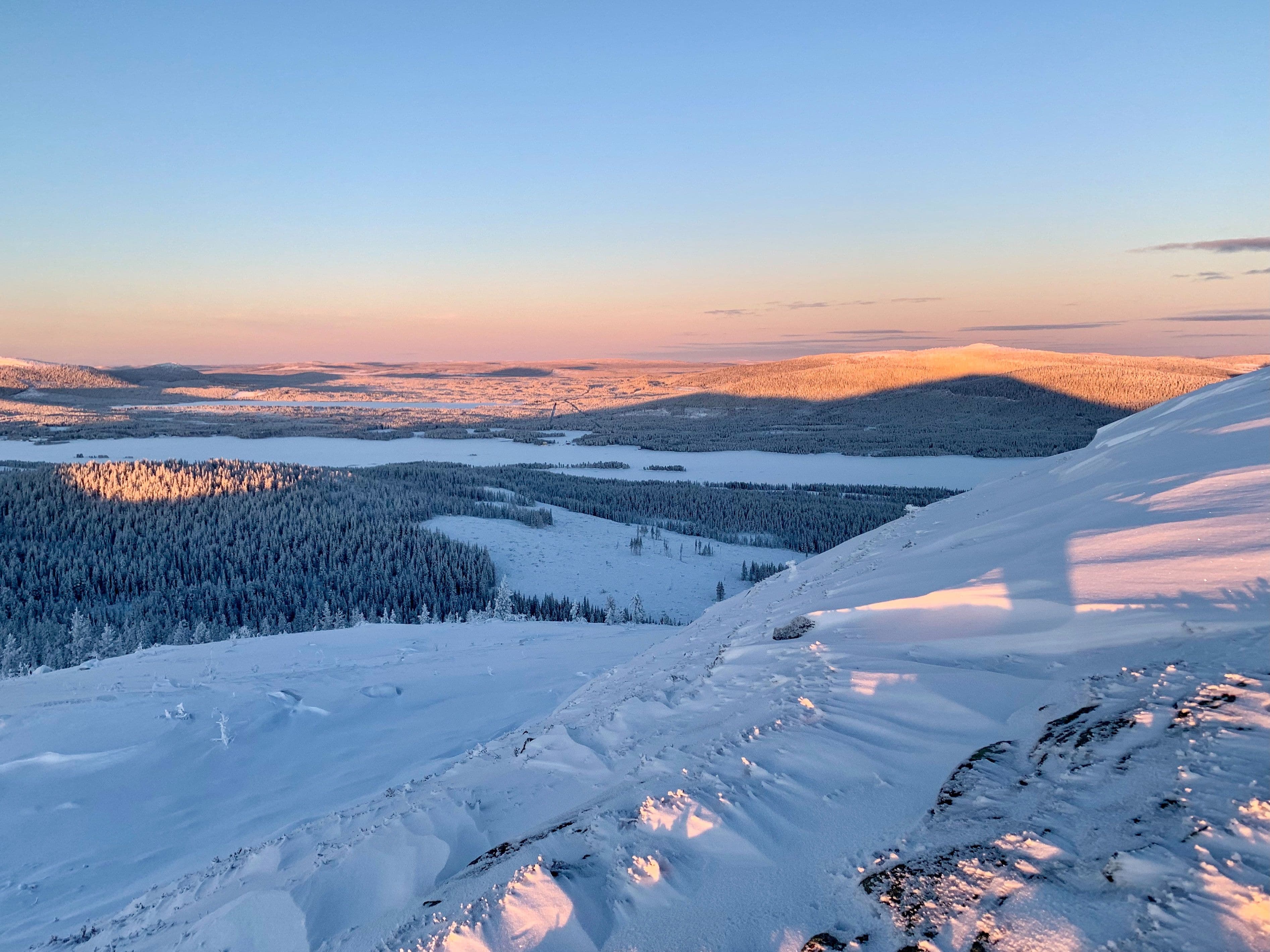 Snow covered mountains with a forest below in the valley. Soft warm sunlight.
